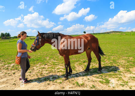 PACZULTOWICE Dorf, Polen - 9. August 2014: junges Mädchen ernährt sich ein Pferd auf der grünen Wiese an sonnigen Sommertag in der Nähe von Krakau. Es ist beliebt für junge Menschen, die Tiere in ihrer Freizeit kümmern. Stockfoto