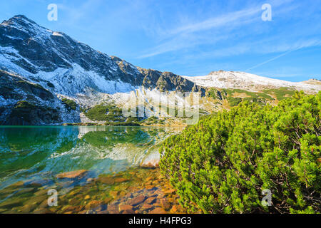 Schönen Bergsee im Herbst im Gasienicowa Tal, hohen Tatra, Polen Stockfoto