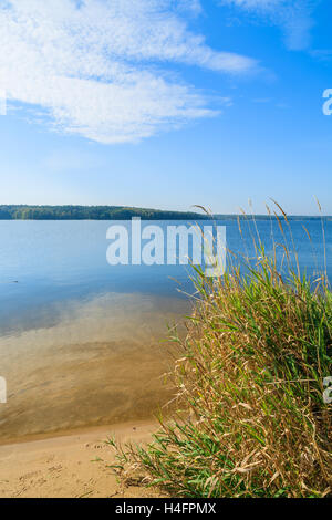 Grüner Rasen am Ufer des Chancza Sees, Polen Stockfoto