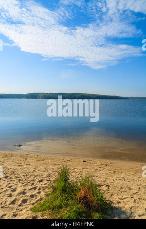 Grüner Rasen auf sandigen Strand der Chancza See, Polen Stockfoto