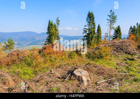 Landschaft von Pieniny-Gebirge in der Herbstsaison, Polen Stockfoto