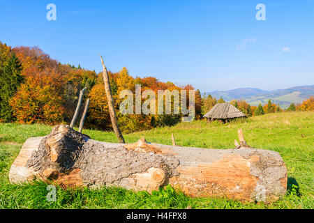 Baumstamm auf der grünen Wiese mit Hütte im Hintergrund an sonnigen Herbsttag, Pieniny-Gebirge, Polen Stockfoto