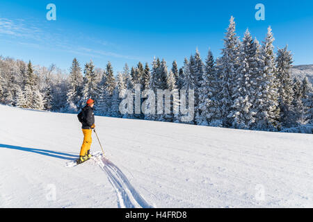 BIENENHONIGS Beskiden, Polen - 31. Dezember 2014: Frau Skifahrer in Winterlandschaft am sonnigen Tag. Skifahren ist eine beliebte Sportart in Südpolen Stockfoto