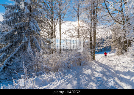 Skifahrer auf der Strecke in Winterlandschaft des Bienenhonigs Beskiden, Polen Stockfoto