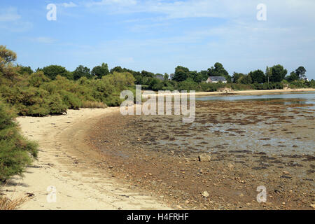 Strand bei Ebbe von Le Bois De La Chevre, Ile Aux Moines, Morbihan, Bretagne, Frankreich Stockfoto