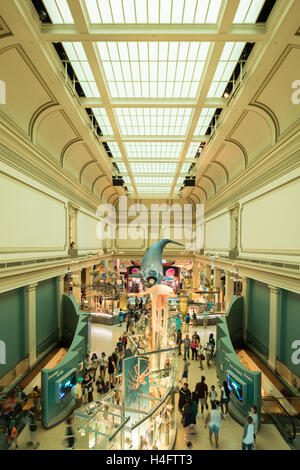 Blick von oben die Ozean-Halle im Inneren das Smithsonian National Museum of Natural History in Washington, DC Stockfoto