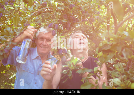 Zwei begeistert Senioren mit Flasche Alkohol genießen sonnigen Tag im Freien unter dem Pflaumenbaum. Stockfoto