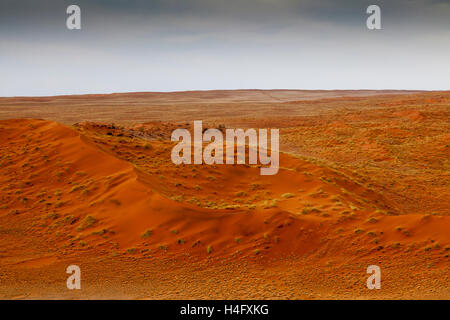 Luftaufnahme über Sossusvlei beim Heißluftballon in Namib-Naukluft-Nationalpark, Namibia Stockfoto