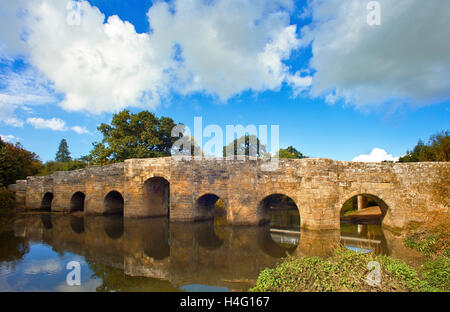 Stopham Brücke nahe Pulborough. Stockfoto