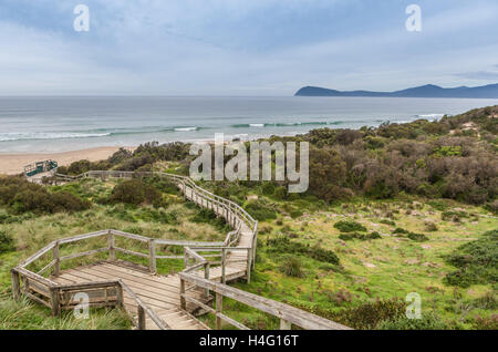 Promenade zum Strand bei The Neck Lookout. Bruny Island, Tasmanien, Australien Stockfoto