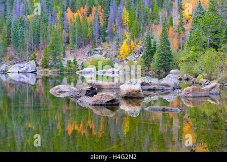 Bergsee im Herbst mit gelben und roten Espen im Wasser reflektiert Stockfoto