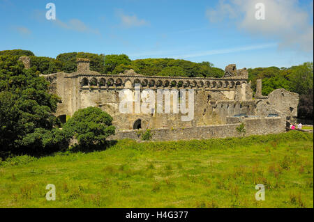 St. Davids Bischofspalast Stockfoto