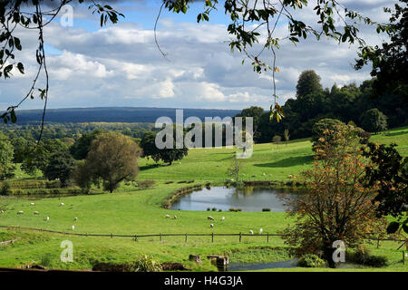 Eine bukolische Szene über die Wiesen am King John Hill in der South Downs National Park, Hampshire, England. Stockfoto