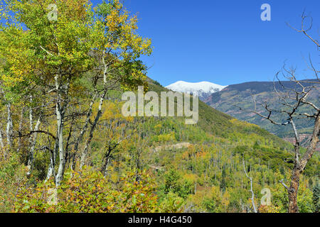 Landschaftsansicht Schnee bedeckt Mt Sopris in Colorado mit einem Espenbaum im Vordergrund Stockfoto