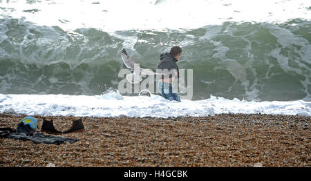 Brighton, Sussex UK 16. Oktober 2016 - eine Möwe wacht einen Mann für ein Paddel in rauer See auf Brighton Beach gehen, wie windigem Wetter entlang der südlichen Küste England fegt heute Credit: Simon Dack/Alamy Live News Stockfoto