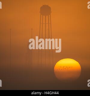 Wallops, Virginia, USA. 15. Oktober 2016. Die orbitale ATK Antares-Rakete mit dem Cygnus Raumschiff an Bord, ist bereit zur Startrampe-0A, bei Sonnenaufgang am NASA Wallops Flight Facility 16. Oktober 2016 in Wallops, Virginia. Die Antares startet mit dem Cygnus Raumschiff gefüllt mit über 5.100 Pfund von Lieferungen für die internationale Raumstation. Bildnachweis: Planetpix/Alamy Live-Nachrichten Stockfoto