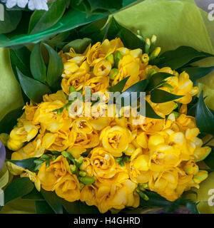 Bouquet von gelben Fresia Blume Stockfoto