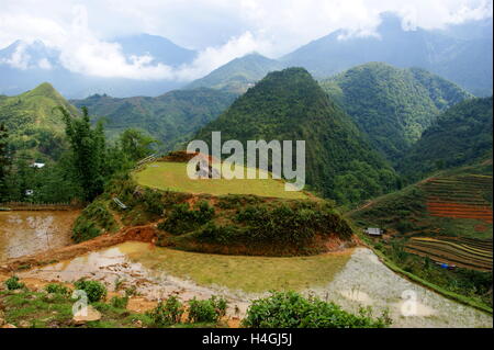 Berglandschaft. Cat Cat Dorf im Muong Hoa-Tal in der Nähe von Sapa, Vietnam, Asien Stockfoto