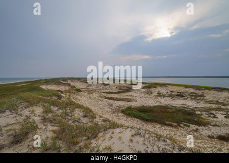 Bucht Piltun im Norden der Insel Sachalin und seine Umgebung, Sachalin, Russland. Stockfoto