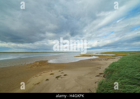 Bucht Piltun im Norden der Insel Sachalin und seine Umgebung, Sachalin, Russland. Stockfoto