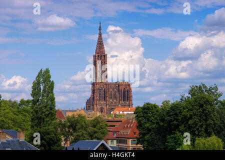 Kathedrale in Strassburg Im Elsass - Kathedrale von Straßburg im Elsass, Frankreich Stockfoto