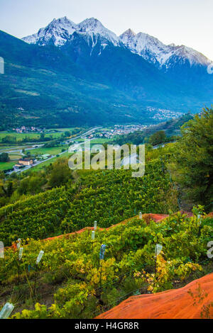 Blick vom Bio- und biodynamischen Weingut Les Granges bei Nus & Fenis, Blick nach Westen in Richtung Nus, Aostatal in Italien. Stockfoto