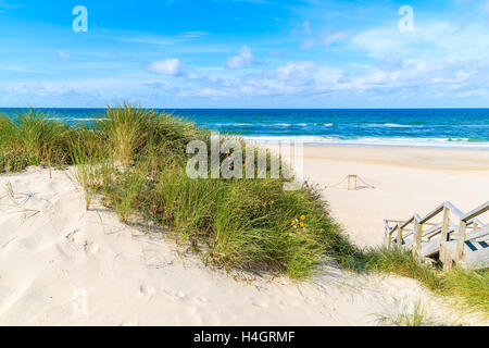 Grüner Rasen auf Sanddüne Liste Beach, Insel Sylt, Deutschland Stockfoto