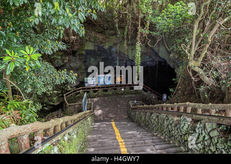 Treppe am Eingang der Manjanggul-Lavahöhle-Rohr auf der Insel Jeju in Südkorea. Stockfoto