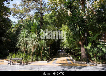 Paseo De La Alameda - Alameda gehen. Marbella, Costa Del Sol, Málaga Provinz, Andalusien, Spanien. Stockfoto