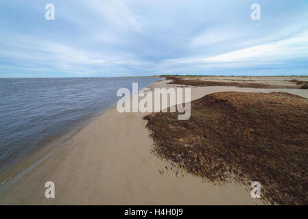 Natürlichen Torf Stücke am Meeresufer, Sachalin, Russland. Stockfoto