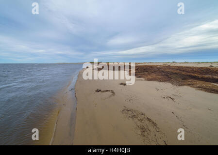 Natürlichen Torf Stücke am Meeresufer, Sachalin, Russland. Stockfoto