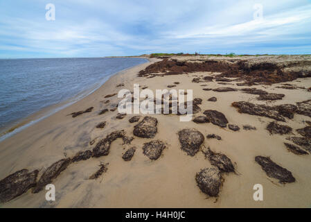 Natürlichen Torf Stücke am Meeresufer, Sachalin, Russland. Stockfoto