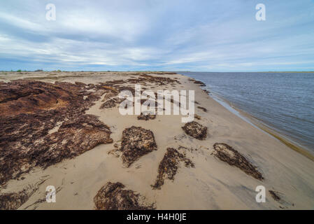 Natürlichen Torf Stücke am Meeresufer, Sachalin, Russland. Stockfoto