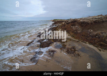 Natürlichen Torf Stücke am Meeresufer, Sachalin, Russland. Stockfoto