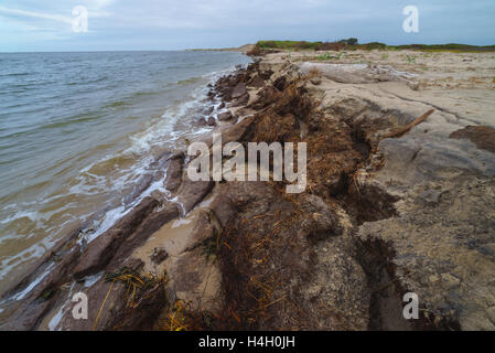 Natürlichen Torf Stücke am Meeresufer, Sachalin, Russland. Stockfoto