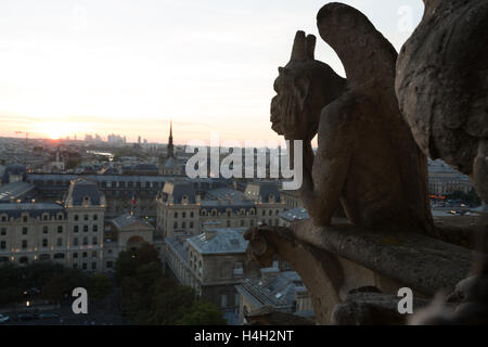 Die Notre-Dame-Chimären den Sonnenuntergang in Paris Stockfoto