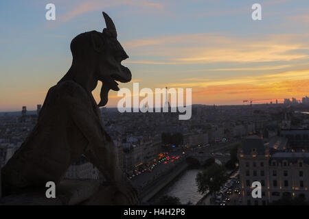 Die Notre-Dame-Chimären den Sonnenuntergang in Paris Stockfoto