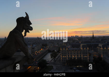 Die Notre-Dame-Chimären den Sonnenuntergang in Paris Stockfoto