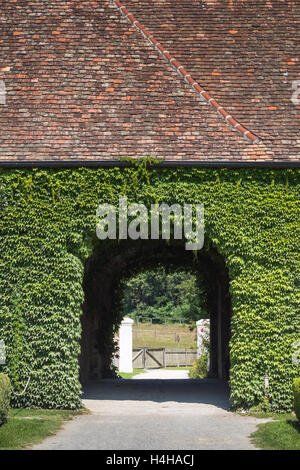 Schatten Sie in der Unterführung in einem heißen Sommertag. Gebäude vollständig von leuchtend grünen Efeu bedeckt. Alte gut erhaltene Dach. Schlossho Stockfoto