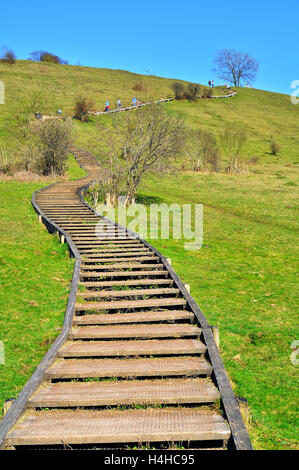 Holztreppe, die zum Gipfel des St. Catherine's Hill, Winchester führt. Stockfoto