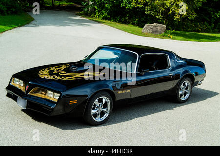 1977 Pontiac Trans AM Stockfoto