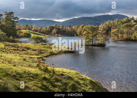 Tarn Hows in der Nähe von Coniston. Stockfoto