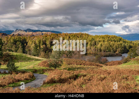 Tarn Hows in der Nähe von Coniston. Stockfoto