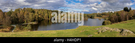 Tarn Hows in der Nähe von Coniston. Panorama Stockfoto