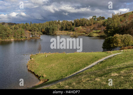 Tarn Hows in der Nähe von Coniston. Stockfoto