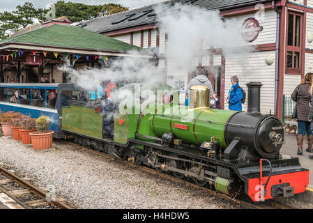 Die Ravenglass & Eskdale Railway Dampflok River Irt (0-8-2) Stockfoto