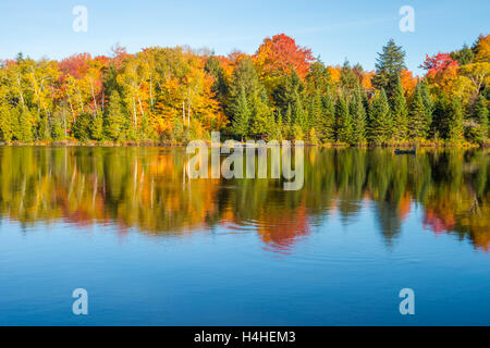 Herbstfarben in Quebec, Kanada (Lac Saint-Amour in Sainte-Anne-des-Lacs) Stockfoto