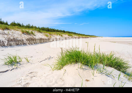 Grüner Rasen auf Sanddüne am schönen Strand in Bialogora Küstendorf, Ostsee, Polen Stockfoto