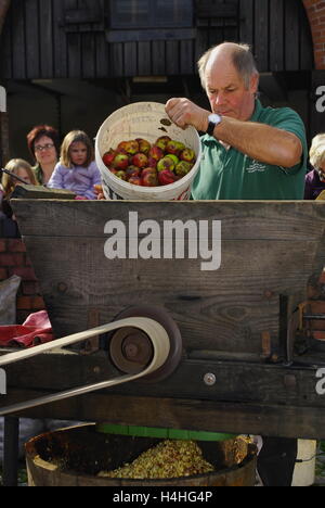 Apfelwein-Pressen-Demonstration, Stockfoto