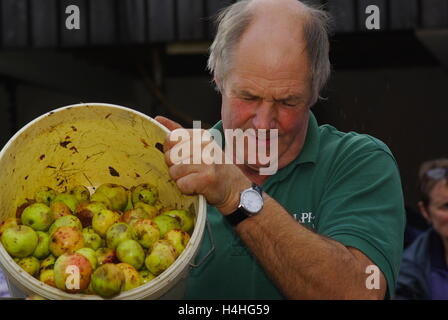 Apfelwein-Pressen-Demonstration, Stockfoto